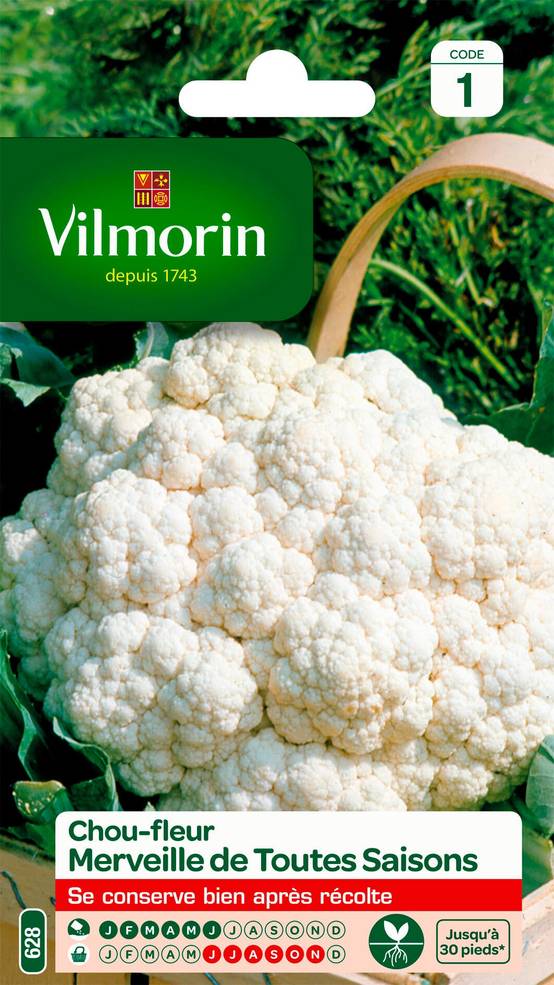 Vilmorin - Chou fleur merveille de toutes saisons série 1 sachet graines 0,8 g - Vilmorin - Image 1