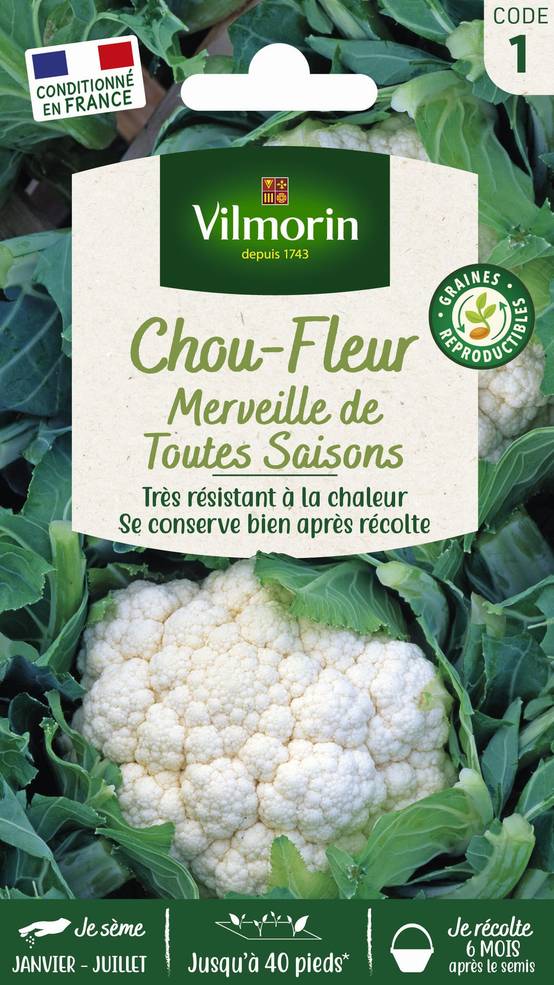 Vilmorin - Chou fleur merveille de toutes saisons série 1 sachet graines 0,8 g - Vilmorin - Image 3