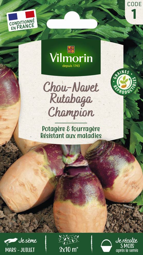 Vilmorin - Rutabaga Champion serie 1 sachet graines 10 g - Vilmorin - Image 1