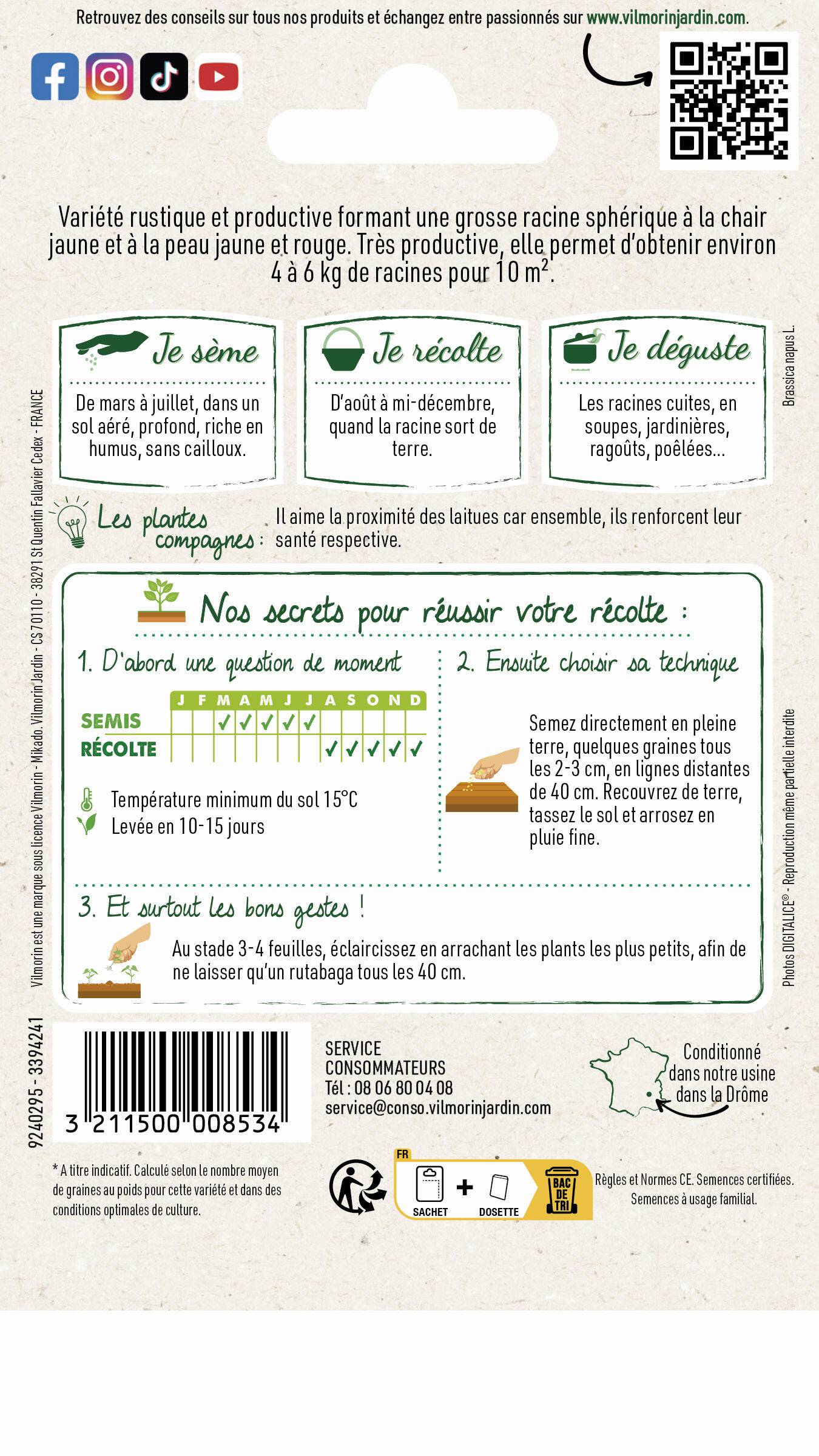 Vilmorin - Rutabaga Champion serie 1 sachet graines 10 g - Vilmorin - Image 4