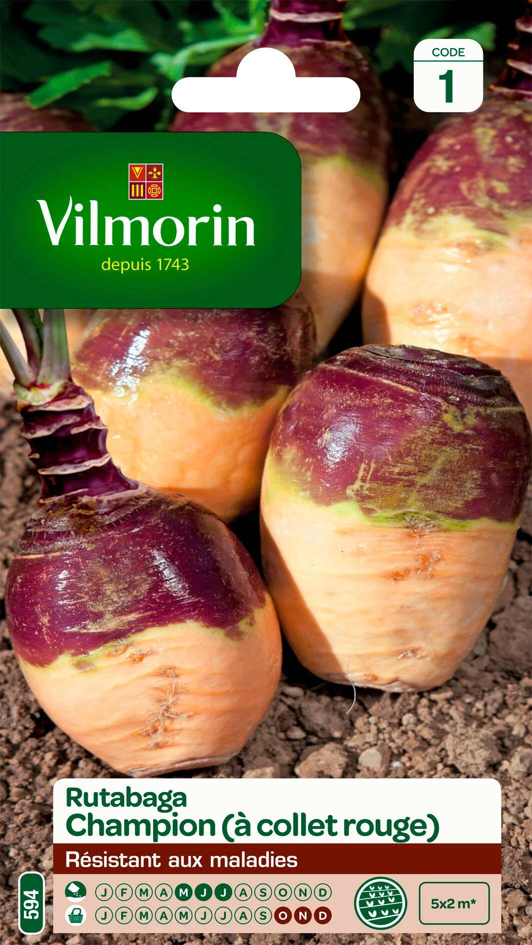 Vilmorin - Rutabaga Champion serie 1 sachet graines 10 g - Vilmorin - Image 2