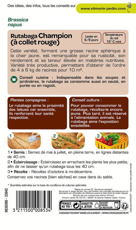 Vilmorin - Rutabaga Champion serie 1 sachet graines 10 g - Vilmorin - Image 3