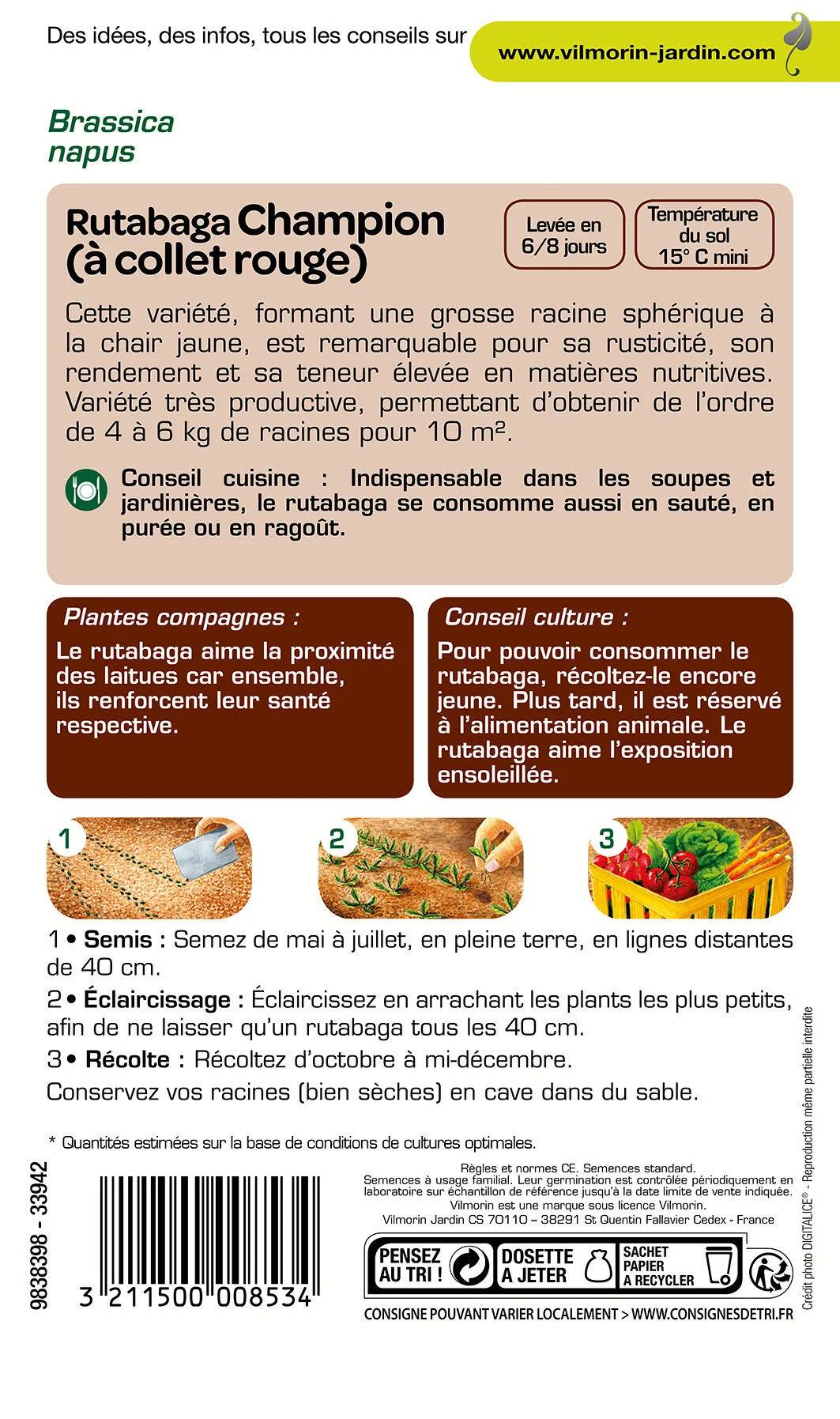 Vilmorin - Rutabaga Champion serie 1 sachet graines 10 g - Vilmorin - Image 3