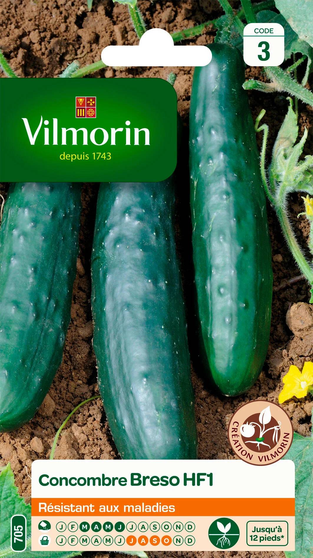 Vilmorin - Concombre breso hf1 création série 3 sachet graines 1 g - Vilmorin - Image 1