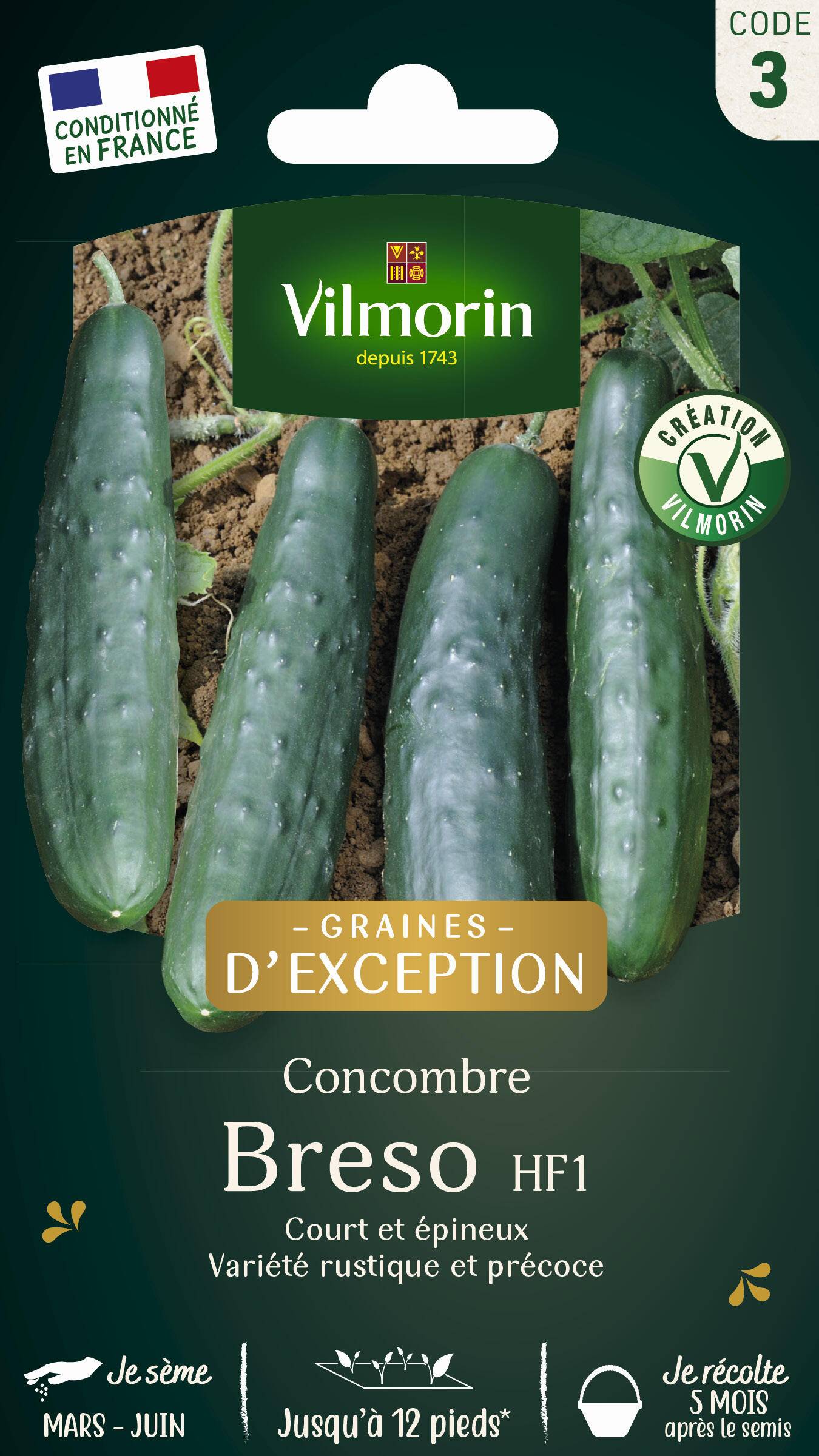 Vilmorin - Concombre breso hf1 création série 3 sachet graines 1 g - Vilmorin - Image 2