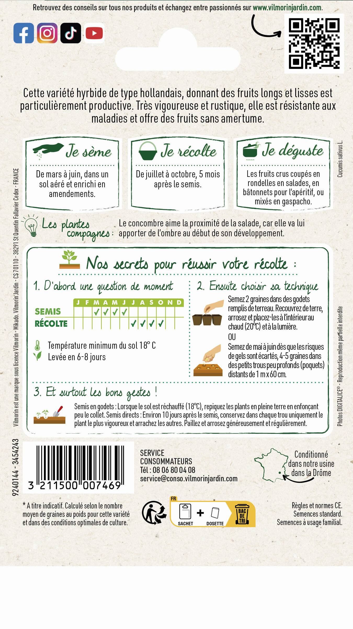 Vilmorin - Concombre Gynial HF1 serie 3 sachet graines 1 g - Vilmorin - Image 3