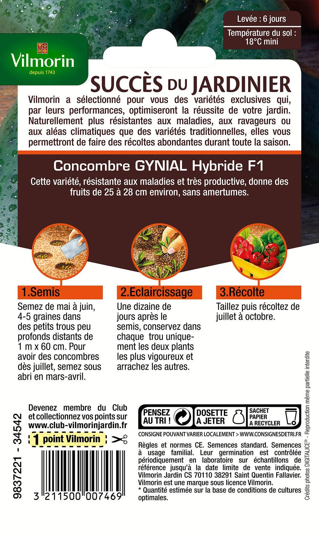 Vilmorin - Concombre Gynial HF1 serie 3 sachet graines 1 g - Vilmorin - Image 4