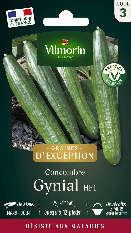Vilmorin - Concombre Gynial HF1 serie 3 sachet graines 1 g - Vilmorin - Image 2