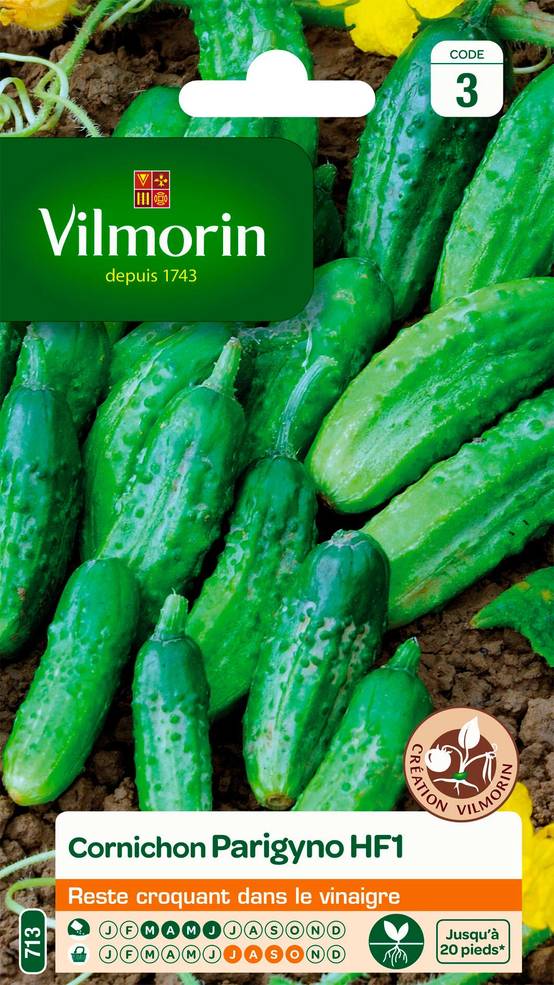 Vilmorin - Cornichon Parigyno HF1 serie 3 sachet graines 2 g - Vilmorin - Image 1