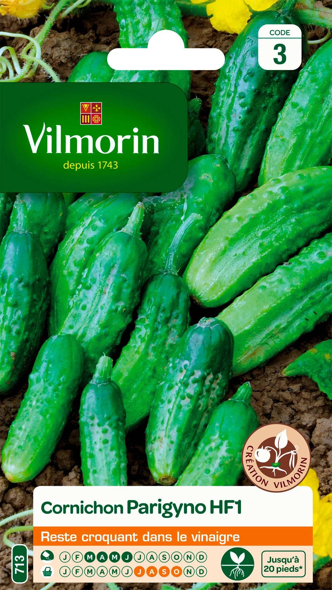 Vilmorin - Cornichon Parigyno HF1 serie 3 sachet graines 2 g - Vilmorin - Image 1