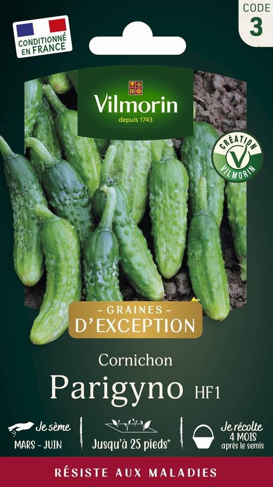 Vilmorin - Cornichon Parigyno HF1 serie 3 sachet graines 2 g - Vilmorin - Image 2