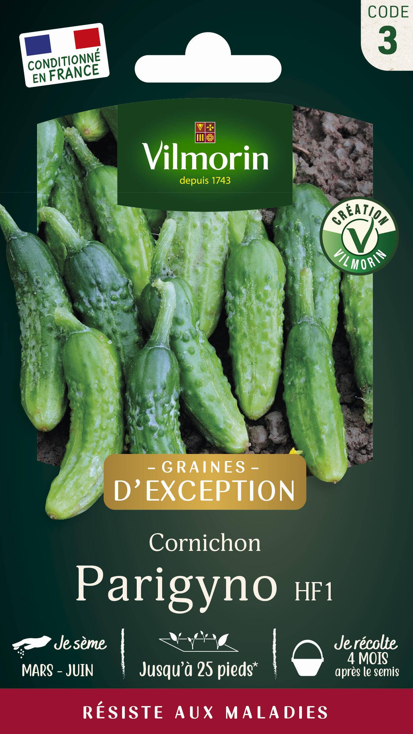 Vilmorin - Cornichon Parigyno HF1 serie 3 sachet graines 2 g - Vilmorin - Image 2