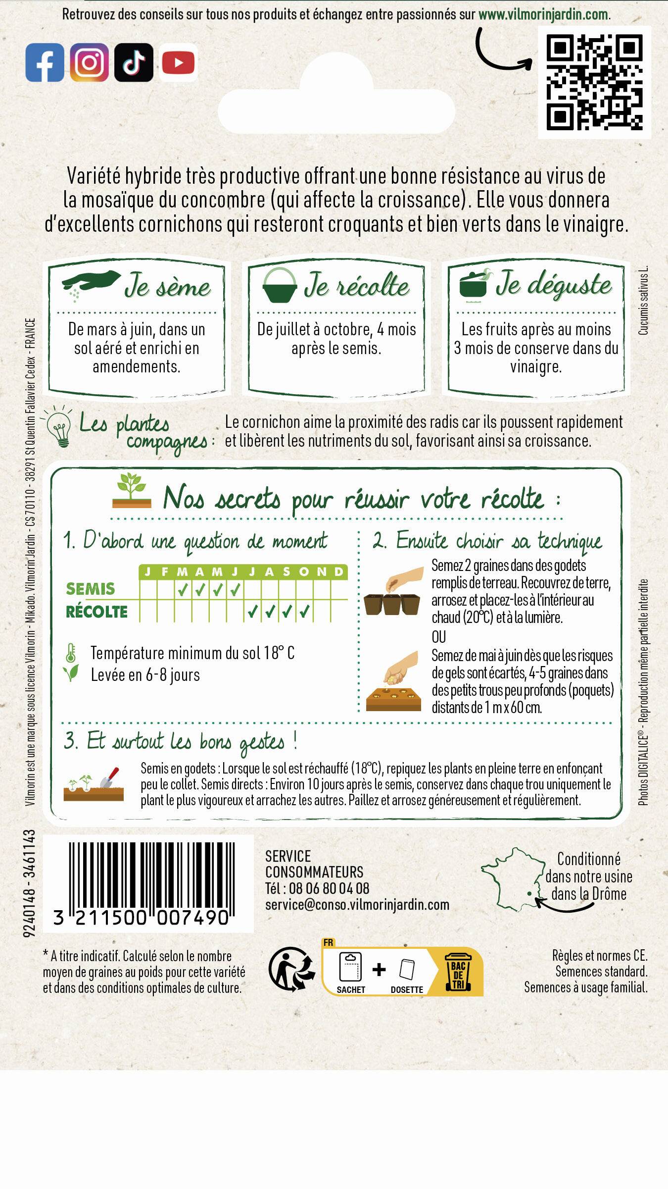 Vilmorin - Cornichon Parigyno HF1 serie 3 sachet graines 2 g - Vilmorin - Image 4