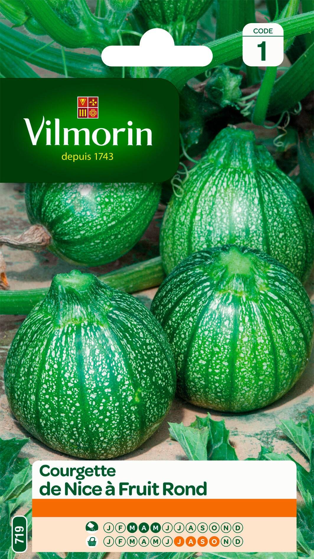 Vilmorin - Courgette de Nice a fruit rond série 1 sachet graines 5 g - Vilmorin - Image 2