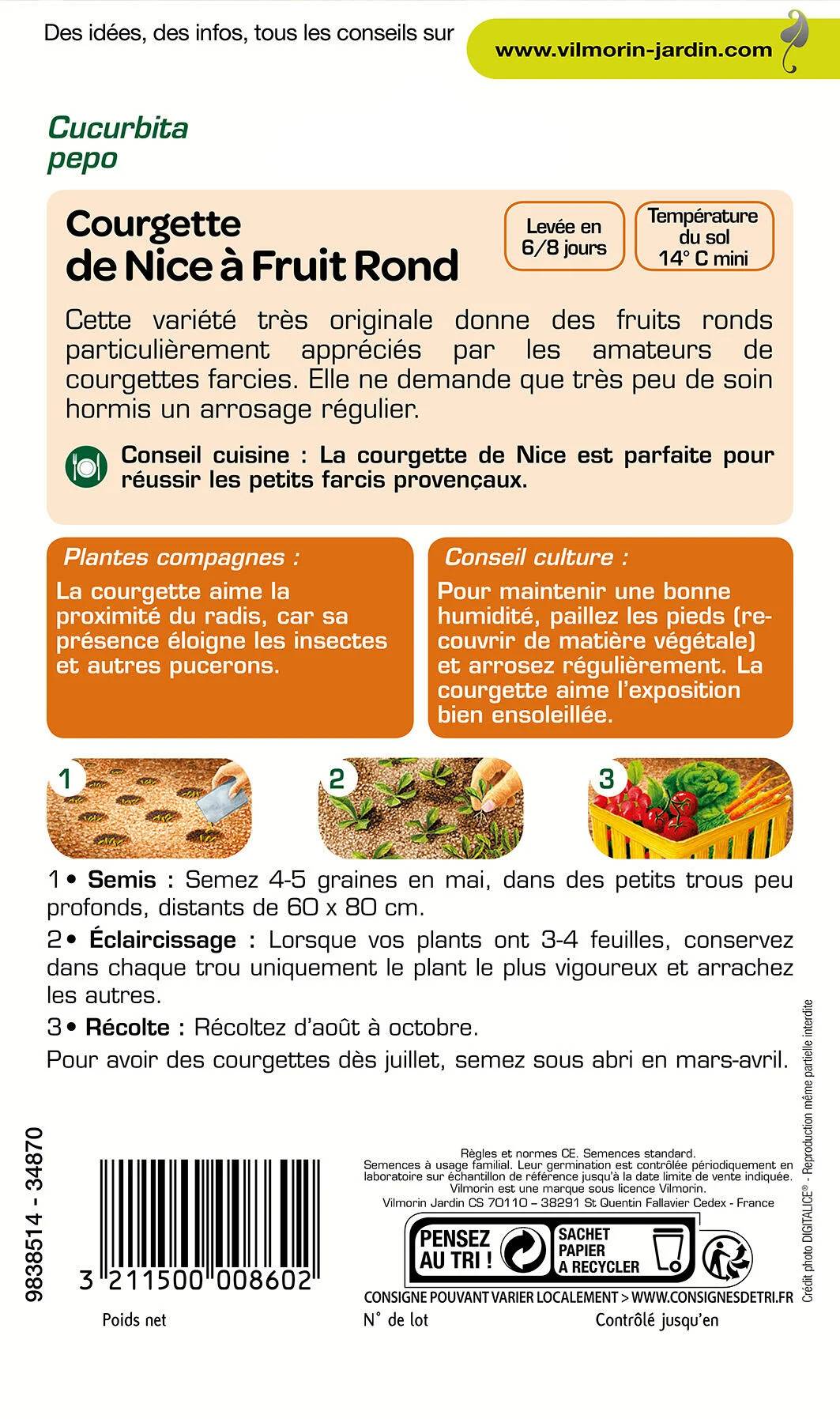 Vilmorin - Courgette de Nice a fruit rond série 1 sachet graines 5 g - Vilmorin - Image 4