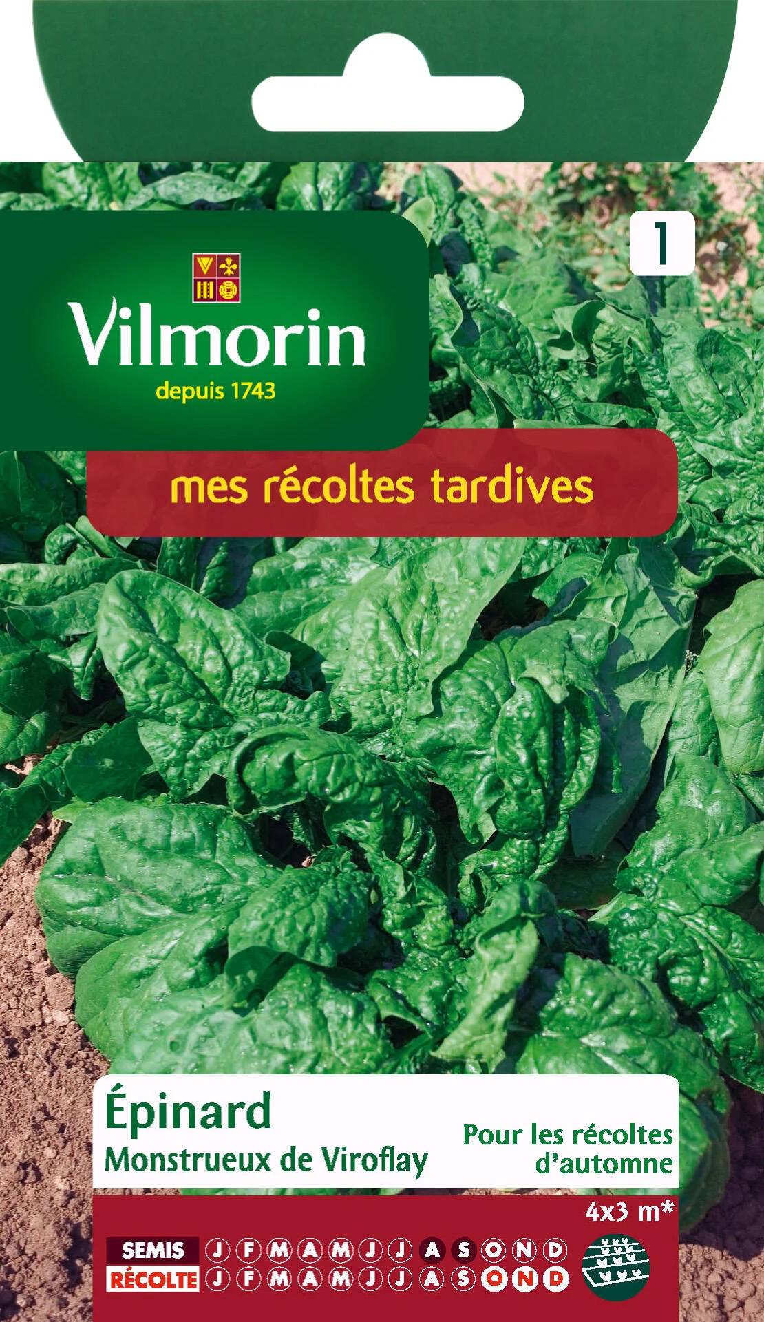Vilmorin - Epinard monstrueux de Viroflay série 1 sachet graines 15 g - Vilmorin - Image 1