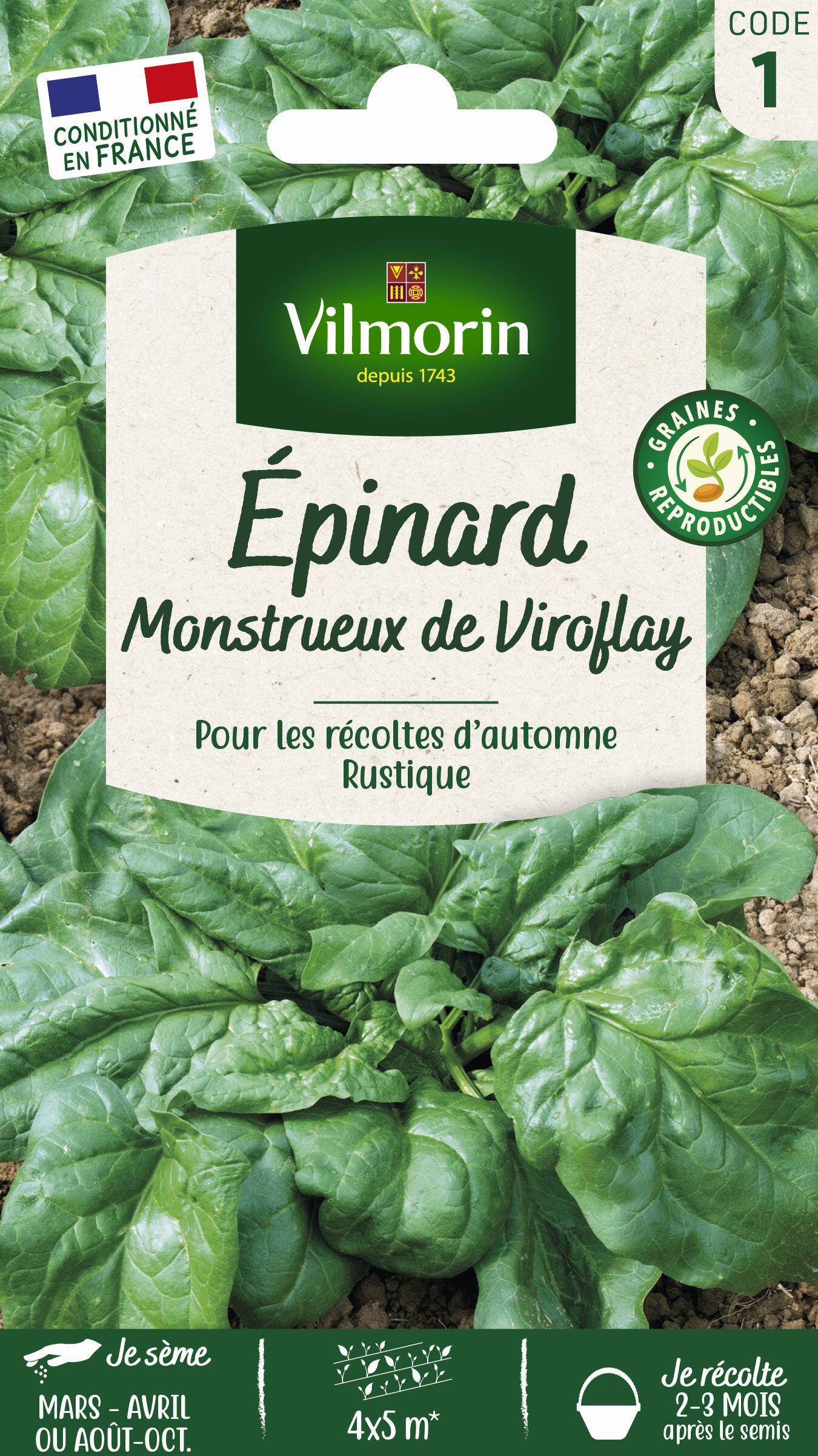 Vilmorin - Epinard monstrueux de Viroflay série 1 sachet graines 15 g - Vilmorin - Image 2