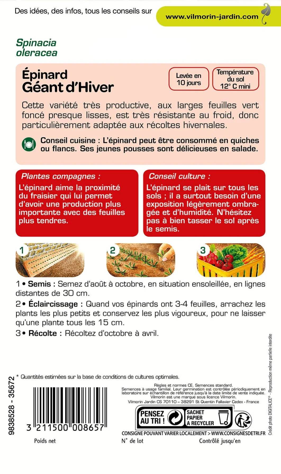 Vilmorin - Epinard géant d'hiver série 1 sachet graines 15 g - Vilmorin - Image 3