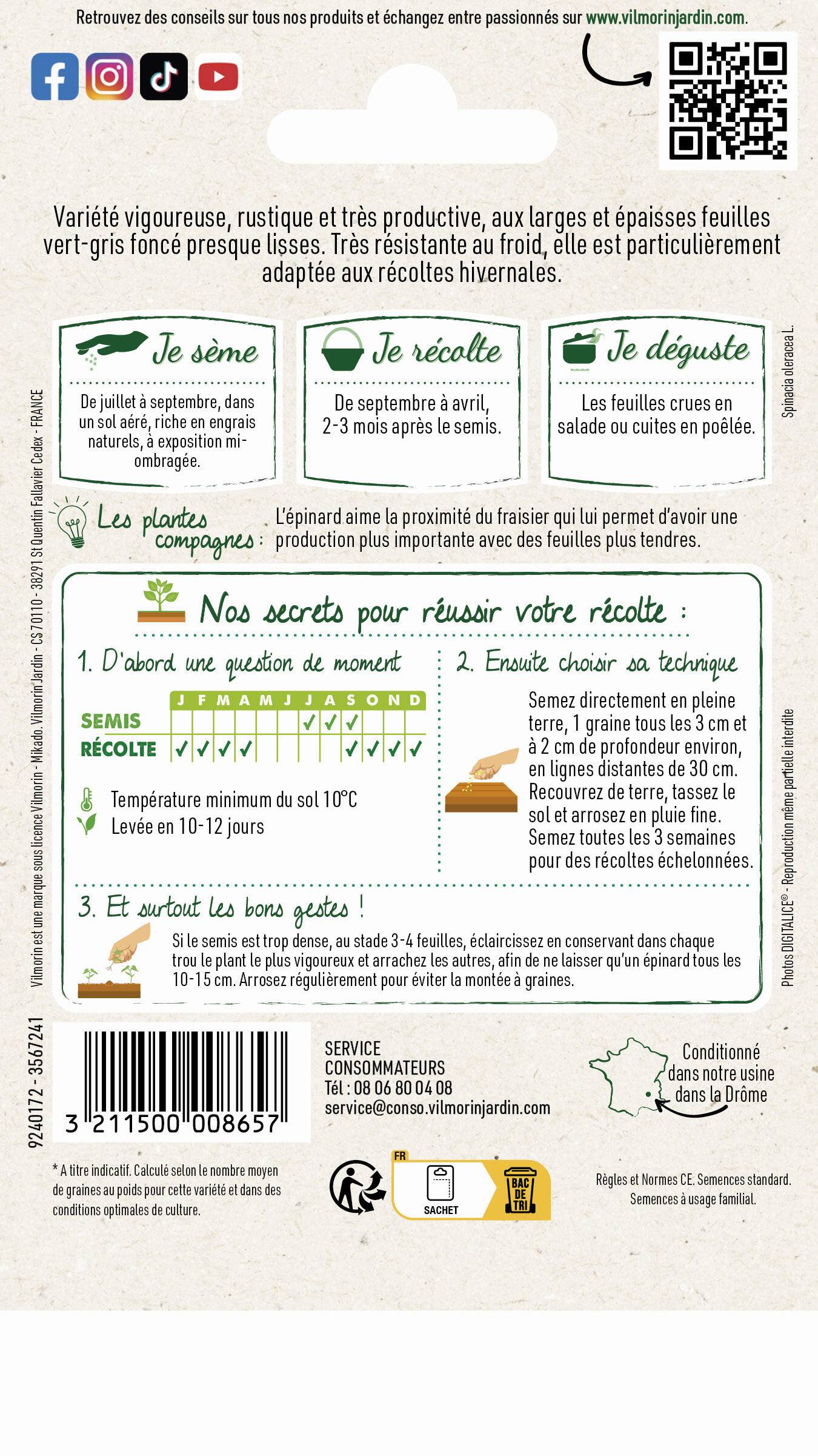 Vilmorin - Epinard géant d'hiver série 1 sachet graines 15 g - Vilmorin - Image 4
