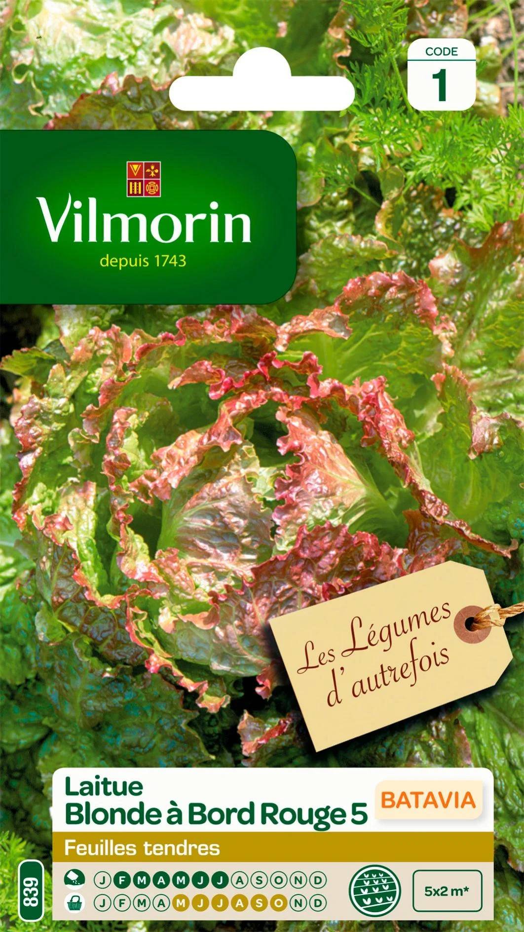 Vilmorin - Laitue Batavia Blonde à Bord Rouge 5 serie 1 sachet graines 4 g - Vilmorin - Image 1