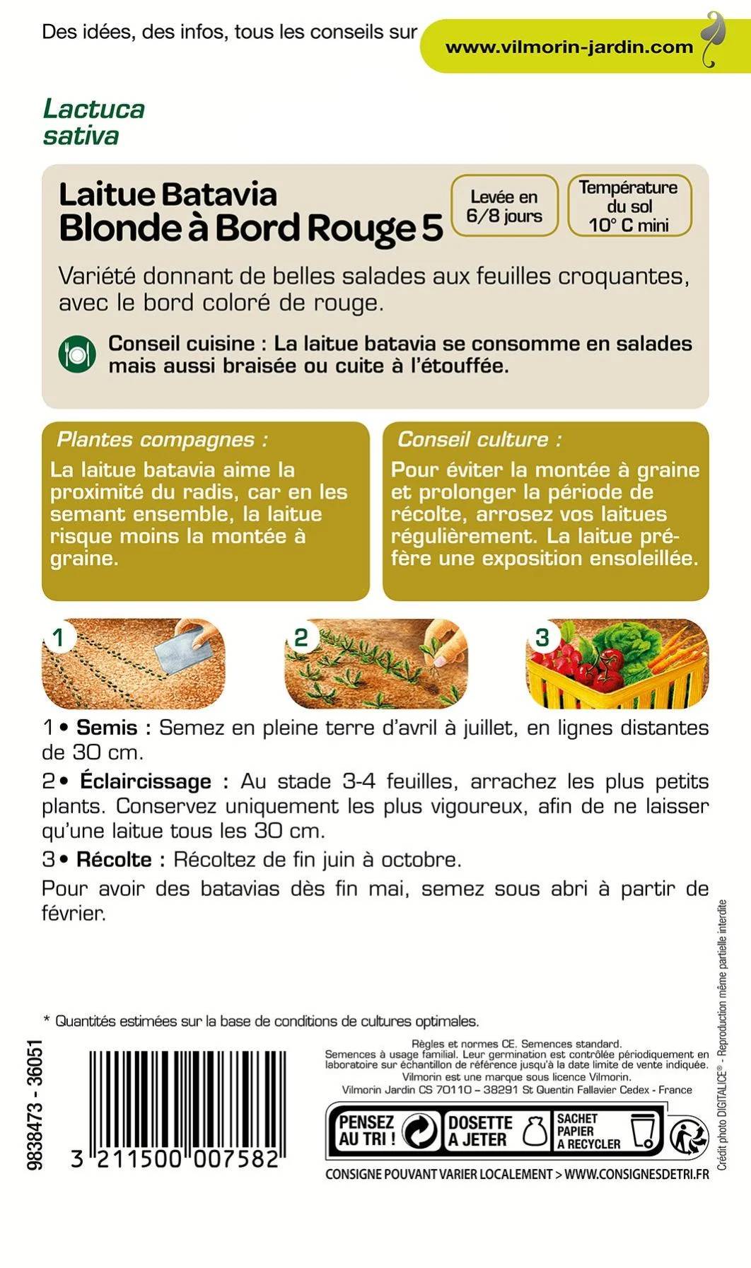 Vilmorin - Laitue Batavia Blonde à Bord Rouge 5 serie 1 sachet graines 4 g - Vilmorin - Image 3
