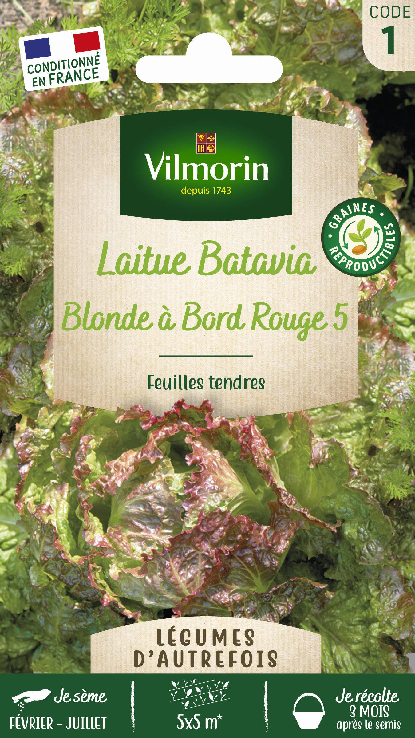 Vilmorin - Laitue Batavia Blonde à Bord Rouge 5 serie 1 sachet graines 4 g - Vilmorin - Image 2