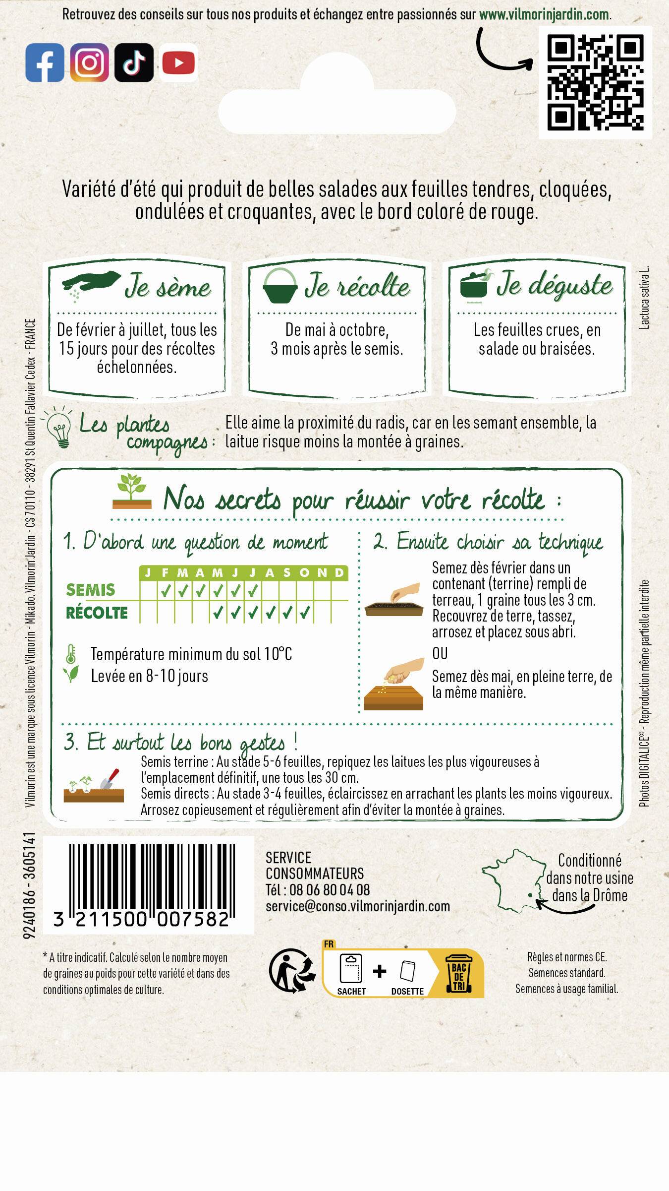 Vilmorin - Laitue Batavia Blonde à Bord Rouge 5 serie 1 sachet graines 4 g - Vilmorin - Image 4