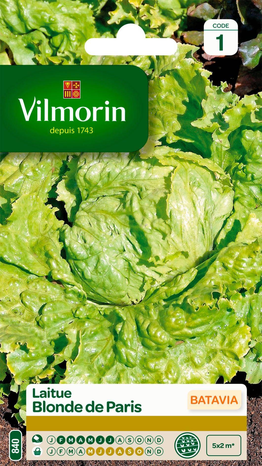 Vilmorin - Sachet de graines Laitue batavia blonde de Paris - Série 1 - 4 g - VILMORIN - Image 1