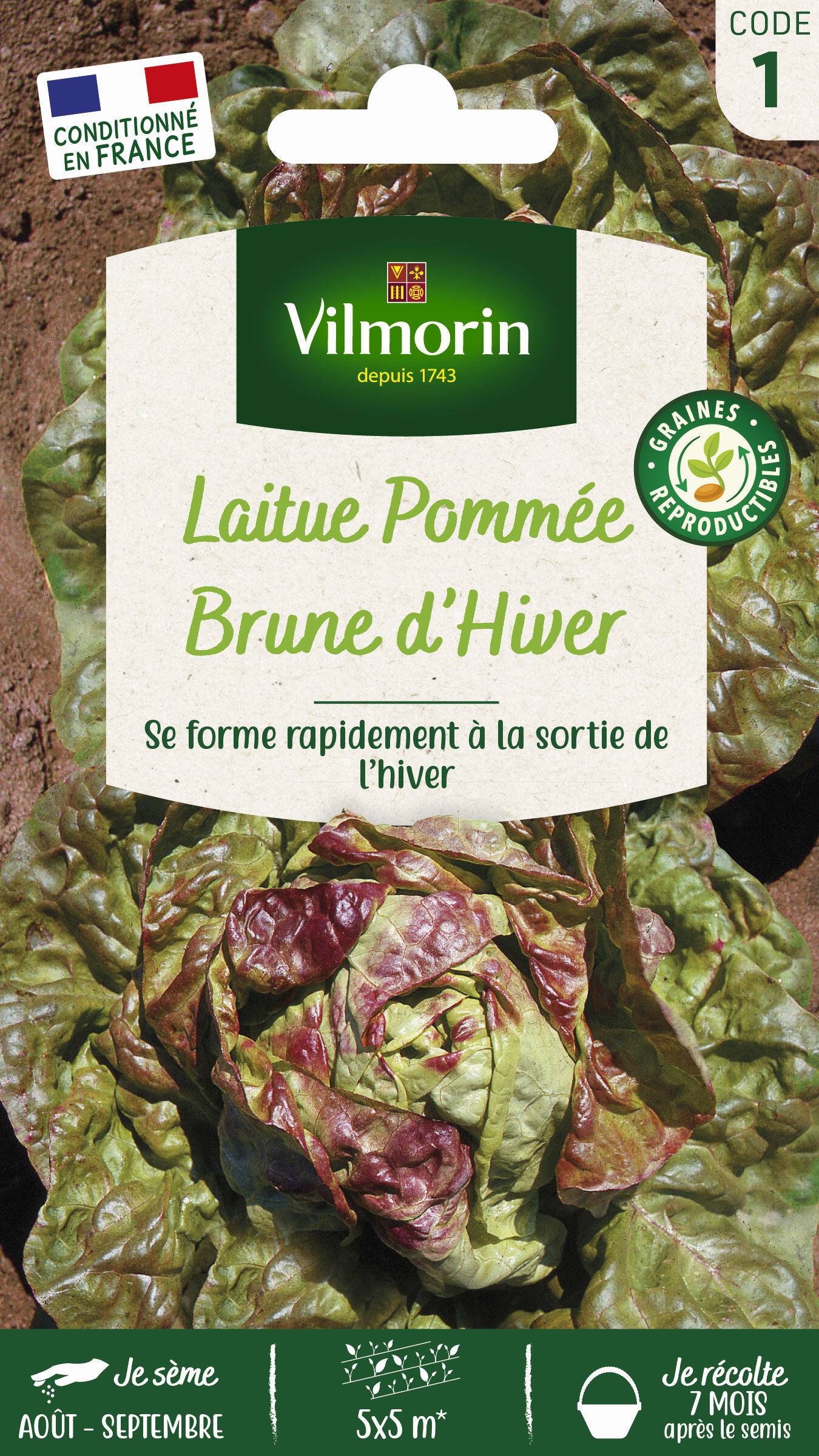 Vilmorin - Laitue d'hiver brune d'hiver série 1 sachet graines 4 g - Vilmorin - Image 2