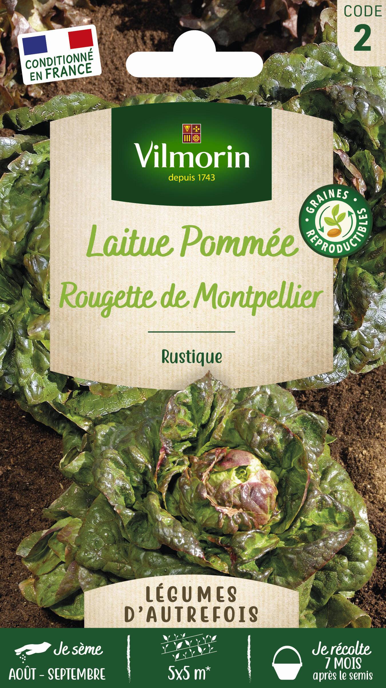 Vilmorin - Laitue d'hiver rougette de Montpellier graines noires série 2 sachet graines 4 g - Vilmorin - Image 1