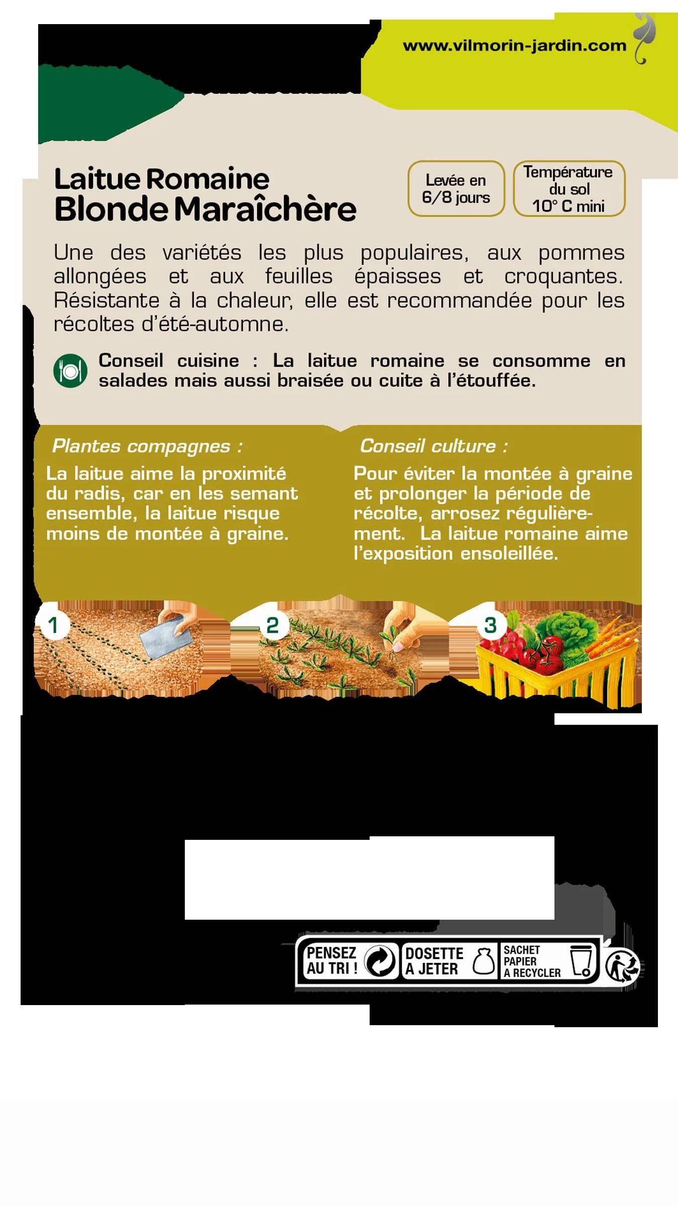 Vilmorin - Laitue romaine blonde maraichère série 1 sachet graines 4 g - Vilmorin - Image 1