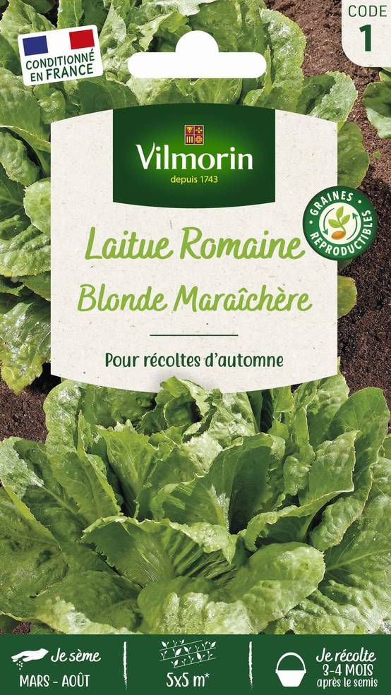 Vilmorin - Laitue romaine blonde maraichère série 1 sachet graines 4 g - Vilmorin - Image 3