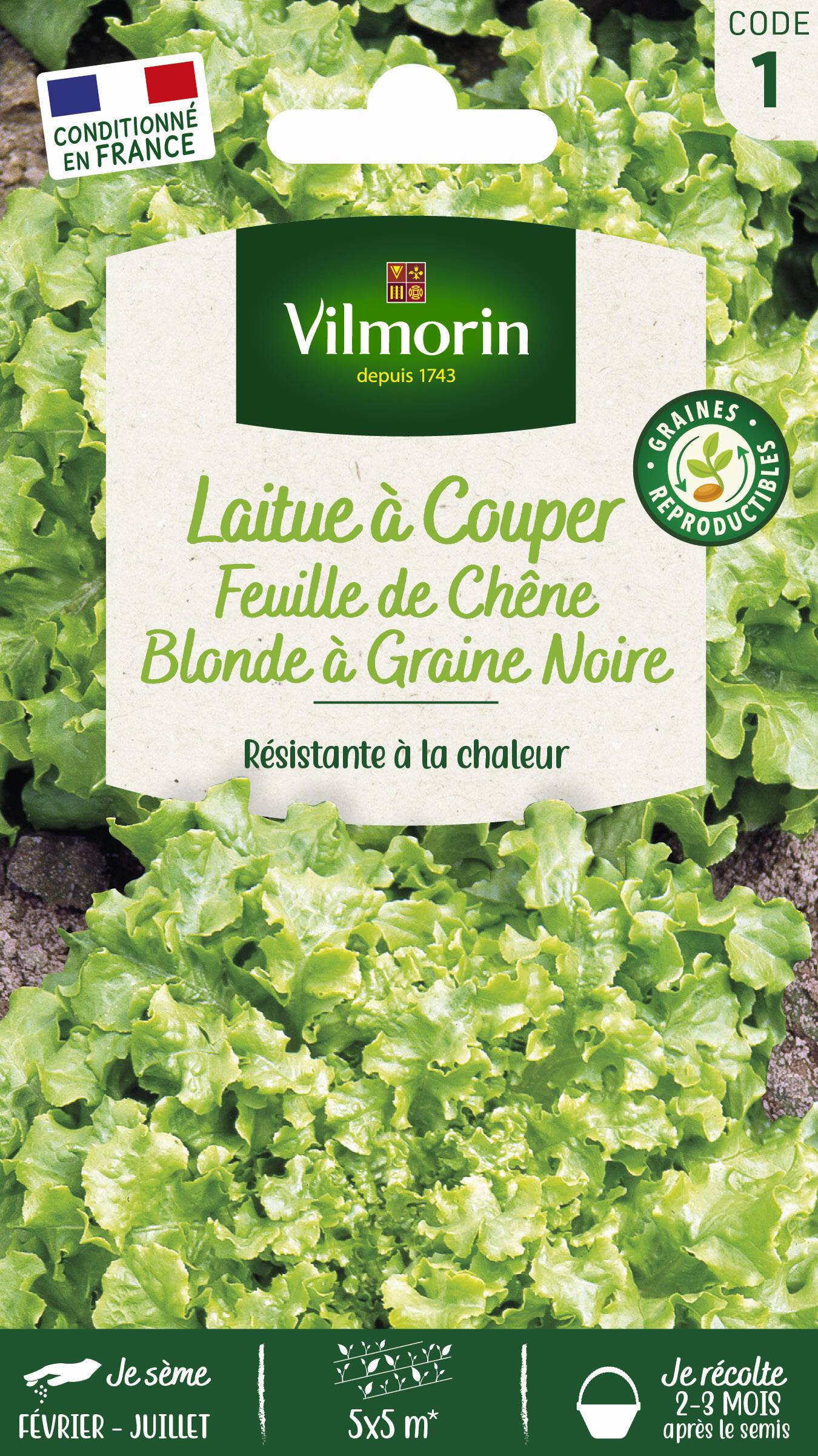 Vilmorin - Laitue à couper feuille de chêne blonde graines noires série 1 sachet graines 4 g - Vilmorin - Image 1
