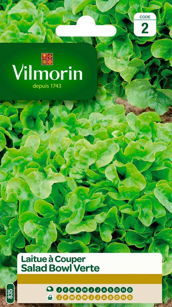 Vilmorin - Laitue a couper salad bowl verte série 2 sachet graines 4 g - Vilmorin - Image 1