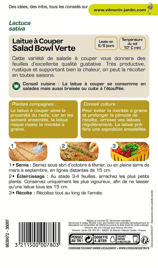Vilmorin - Laitue a couper salad bowl verte série 2 sachet graines 4 g - Vilmorin - Image 3