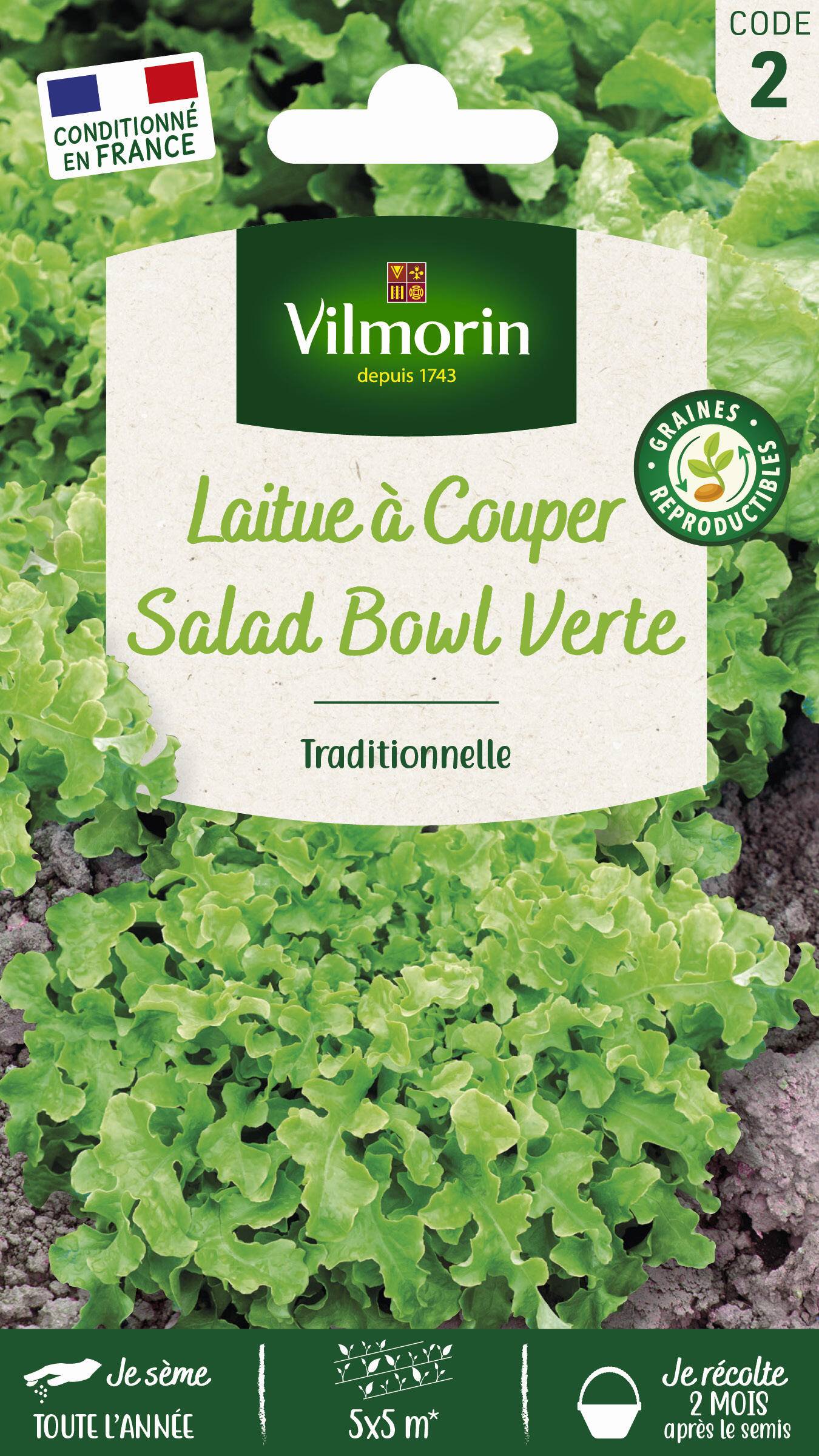 Vilmorin - Laitue a couper salad bowl verte série 2 sachet graines 4 g - Vilmorin - Image 2