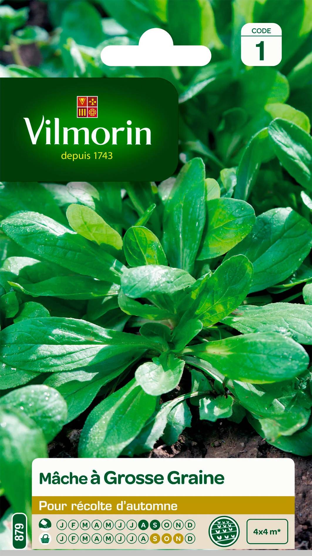 Vilmorin - Mâche a grosse graine série 1 sachet graines 4 g - Vilmorin - Image 1