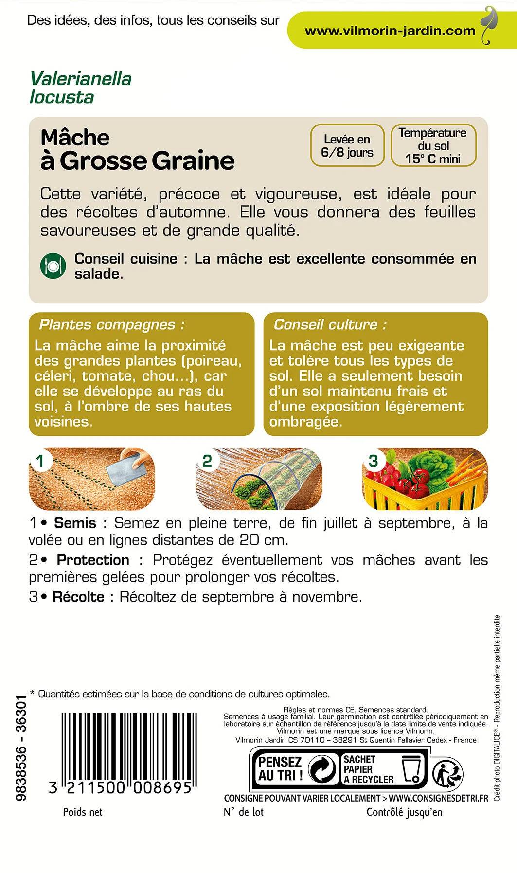 Vilmorin - Mâche a grosse graine série 1 sachet graines 4 g - Vilmorin - Image 3