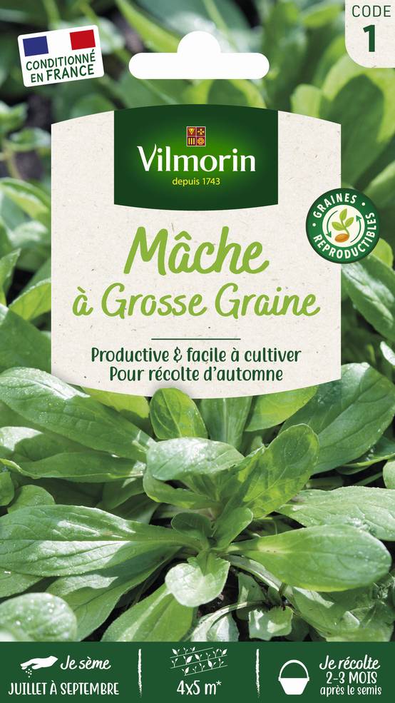 Vilmorin - Mâche a grosse graine série 1 sachet graines 4 g - Vilmorin - Image 2