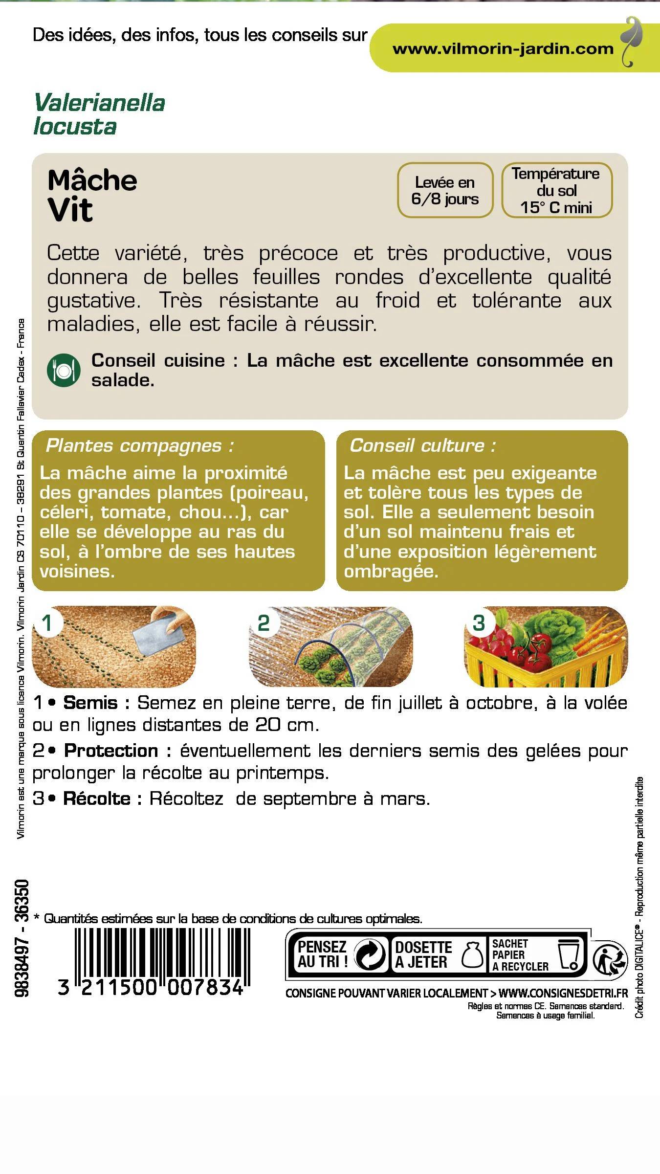 Vilmorin - Mâche vit série 2 sachet graines 3 g - Vilmorin - Image 3