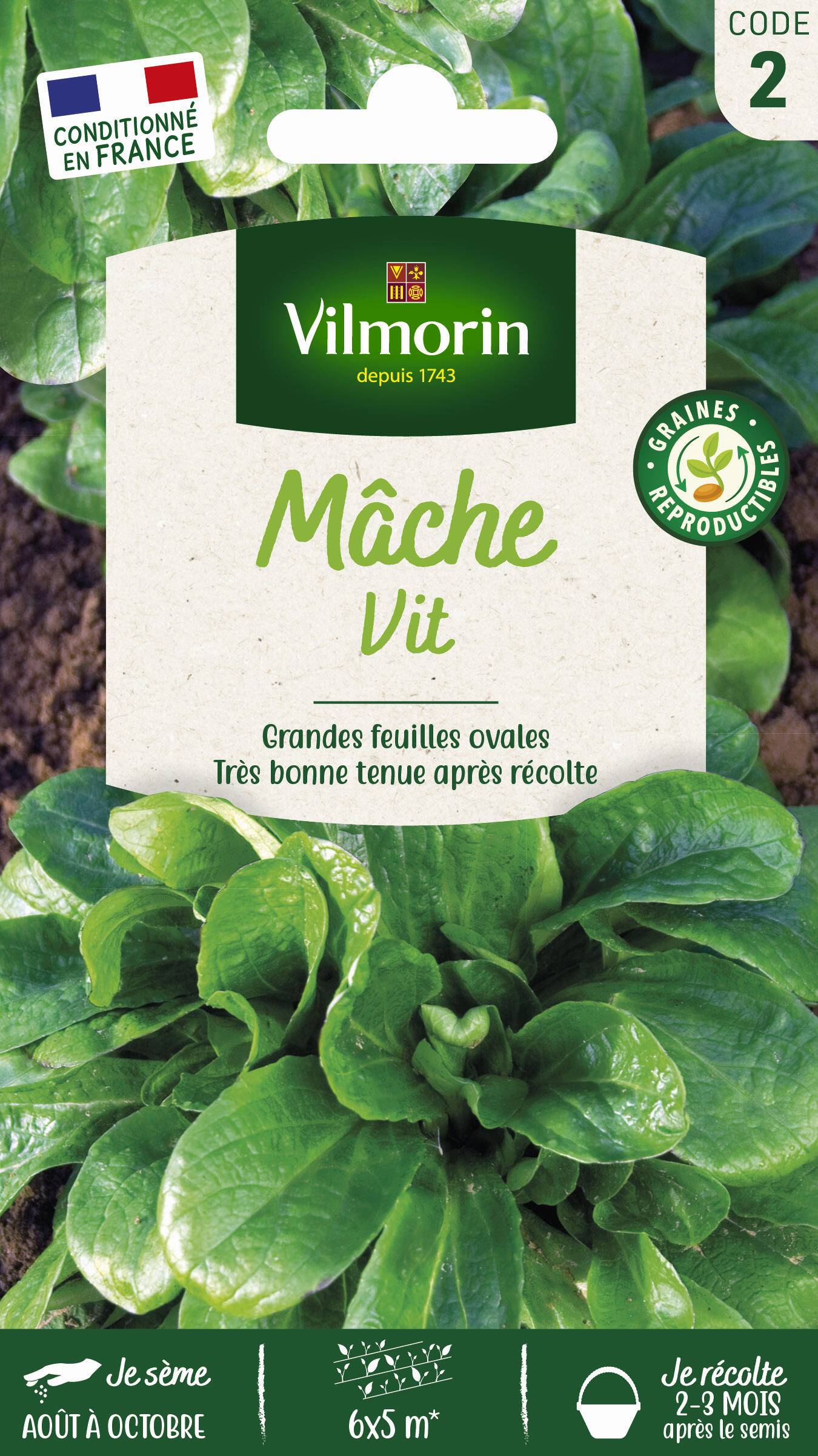 Vilmorin - Mâche vit série 2 sachet graines 3 g - Vilmorin - Image 2