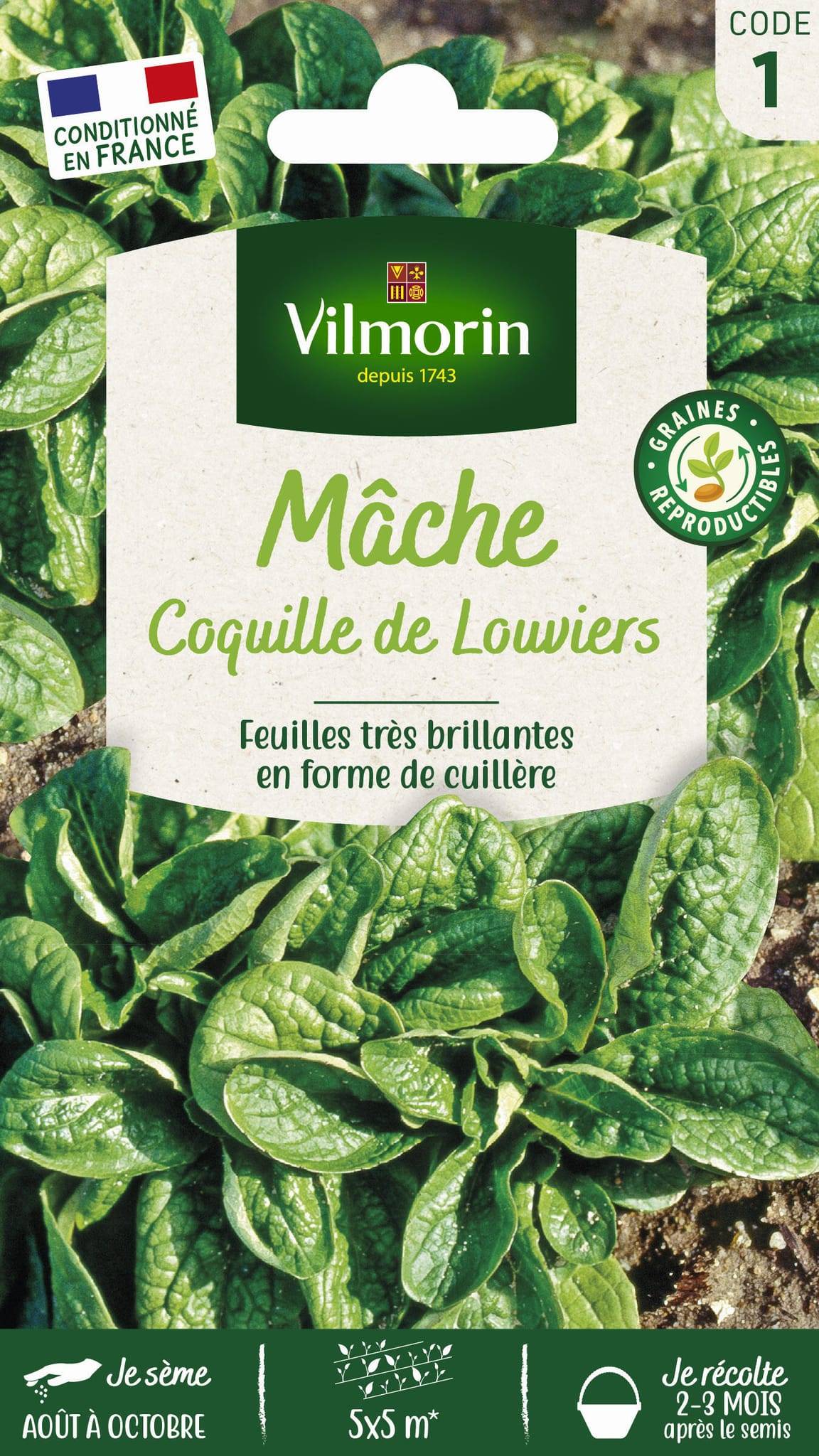 Vilmorin - Mâche verte de Louviers série 1 sachet graines 3 g - Vilmorin - Image 1