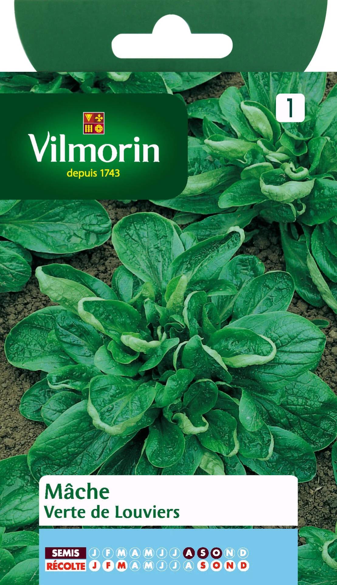 Vilmorin - Mâche verte de Louviers série 1 sachet graines 3 g - Vilmorin - Image 2