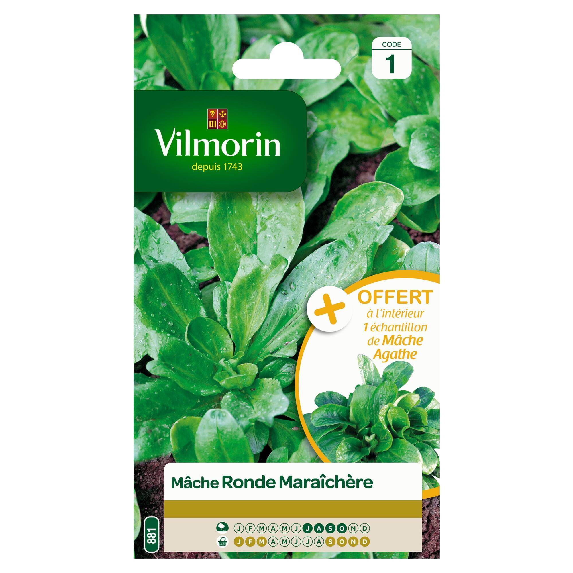 Mâche ronde maraîchère 3 g – VILMORIN - Image 1