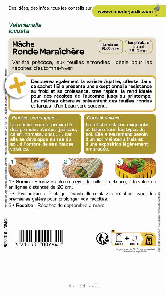 Mâche ronde maraîchère 3 g – VILMORIN - Image 3