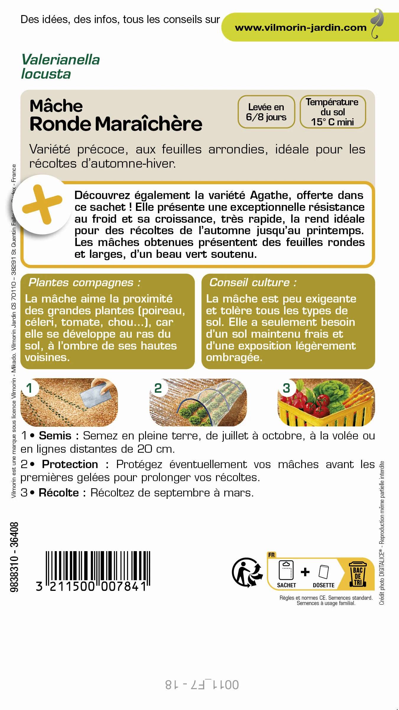 Mâche ronde maraîchère 3 g – VILMORIN - Image 3