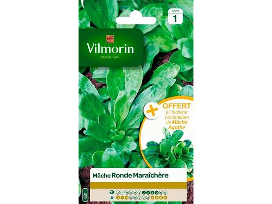 Mâche ronde maraîchère 3 g – VILMORIN - Image 2