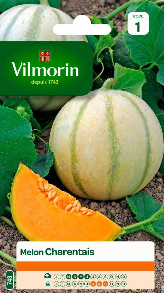 Vilmorin - Melon Charentais série 1 sachet graines 3 g - Vilmorin - Image 1