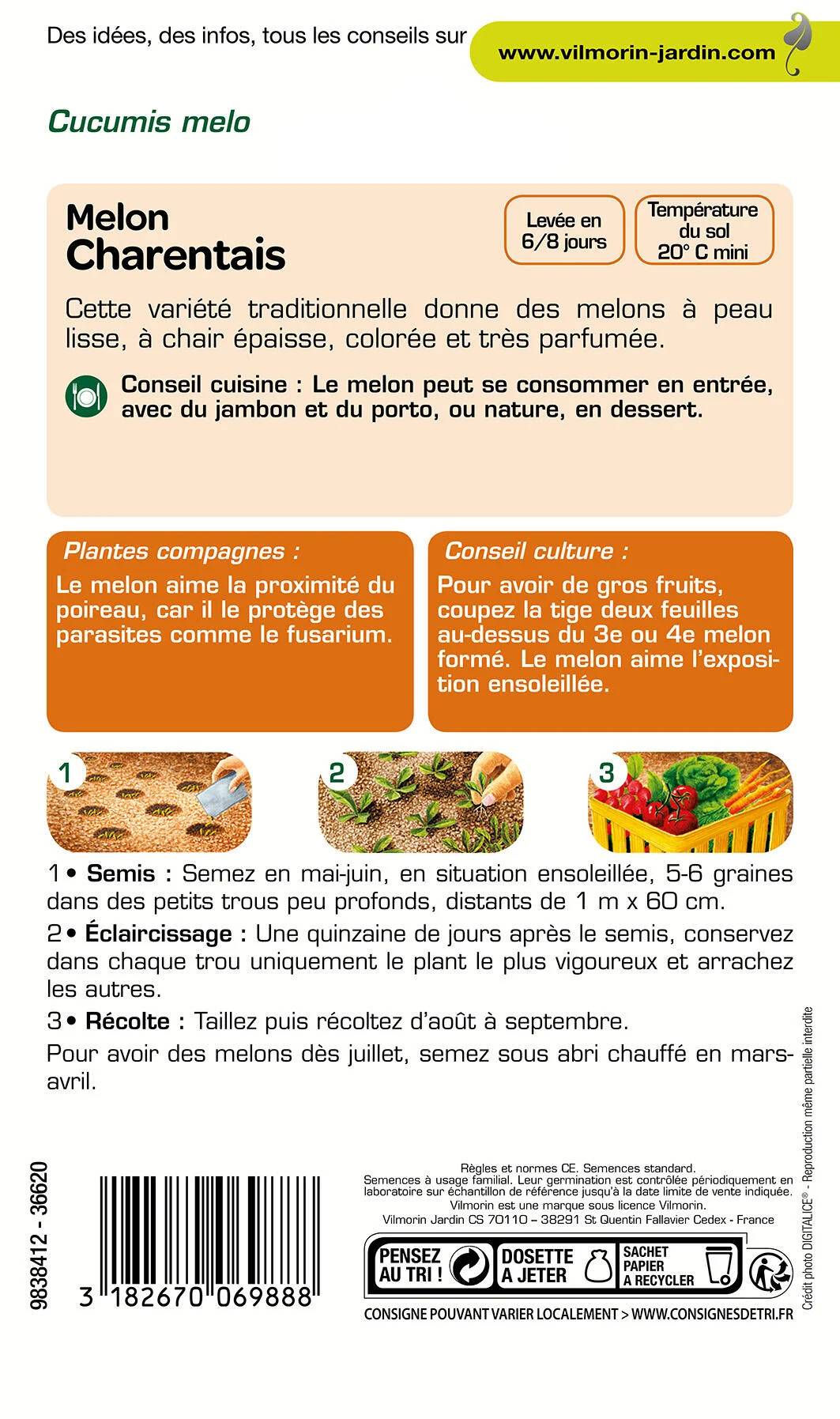 Vilmorin - Melon Charentais série 1 sachet graines 3 g - Vilmorin - Image 3