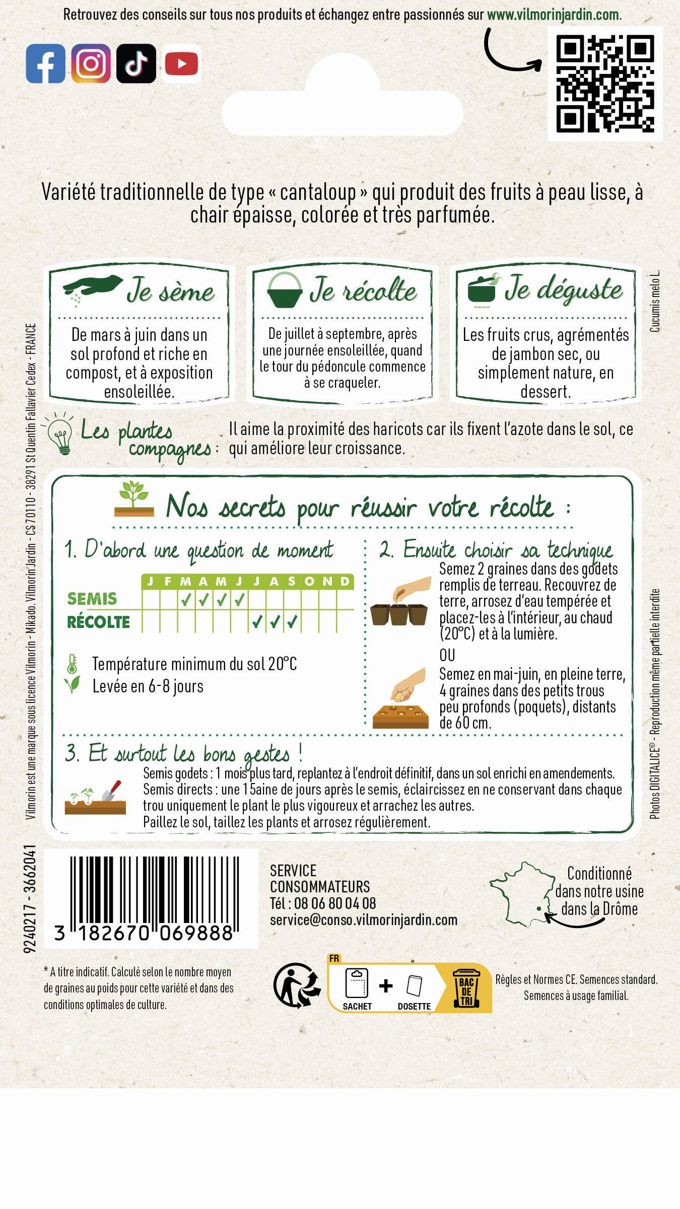 Vilmorin - Melon Charentais série 1 sachet graines 3 g - Vilmorin - Image 4